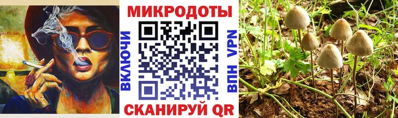 Псилоцибиновые грибы Cubensis Яхрома